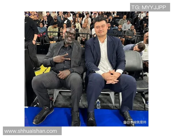 NBA直播回放与赛季分析：篮球盛宴的多元享受